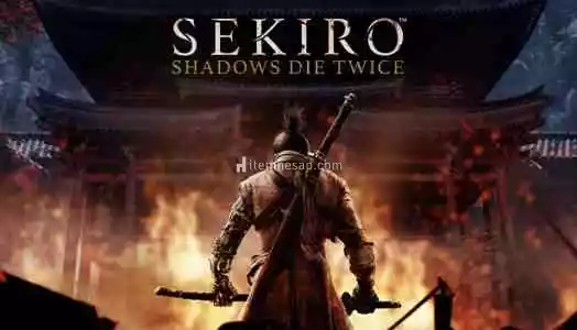 Sekiro Shadows Die Twice + Garanti