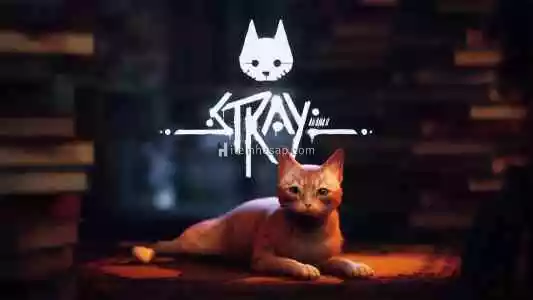 Stray Steam Garantili