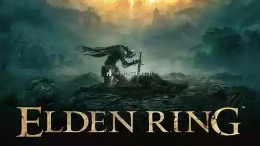 Elden Ring + Garanti