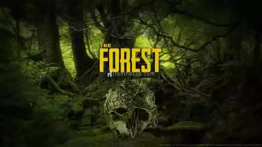 The Forest + Garanti