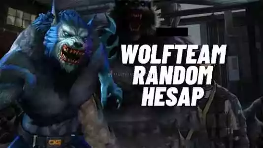 Wolfteam Random Hesap