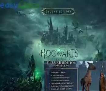 Hogwarts Legacy Deluxe Edition - Satış Sonrası Destek -One/X/S