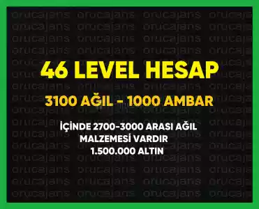 Hay Day Hesap 46 Level + 3100 Ağıl + 1000 Ambar