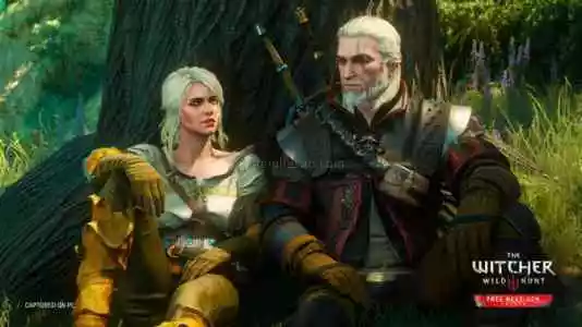 The Witcher 3: Wild Hunt Offline PC Steam