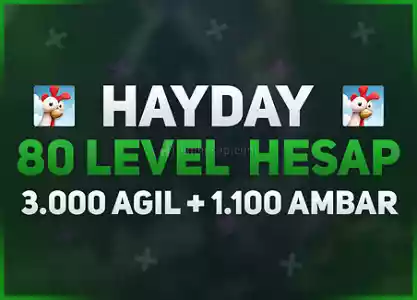 80 Level | 3000 Ağıl 1100 Ambar | Ağıl Dolu