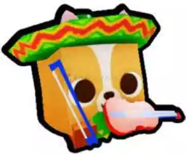 Sombrero Corgi Rainbow 5X