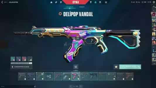 Dolu Dolu Dia 1 Hesap