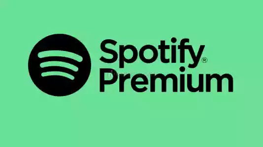 İsminize Özel 1 Aylık Spotify Hesabı