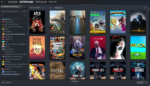 Gta 5 + Tekken 7 + Hitman 2 + Resident Evil Seri + Wallper Engine + 2 Ay Garanti Steam Hesabı