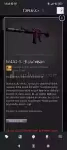 Cs:go M4A1-S | Karabasan Skini