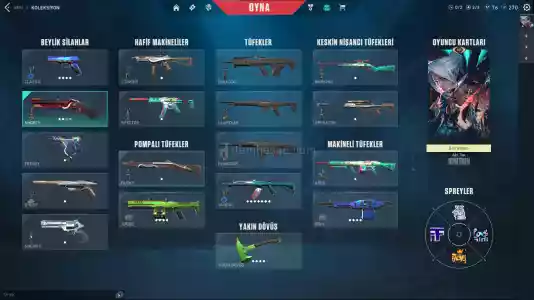 Valorant + League Of Legends Kalıcı (Gmail Dahil) Eski Hesap