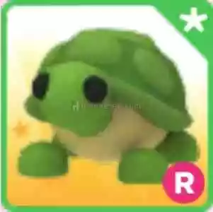 Ucuz Turtle