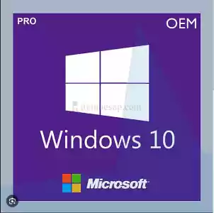 Windows 10  Pro Ürün Anahtarı + Garanti