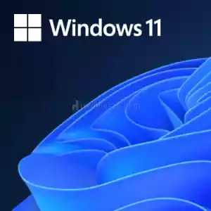Windows 11 Pro Retail Lisans Anahtarı