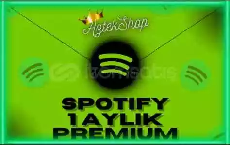 1 Ay Garantili Spotify Premium
