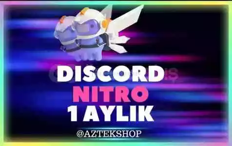 1 Aylık 2X Boostlu Discord Nitro