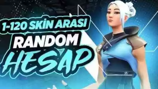 1-120 Skinli Random Hesap