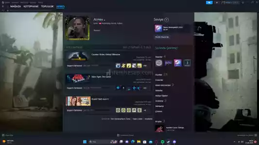 Steam Hesabı 5 Lvl 23 Oyun
