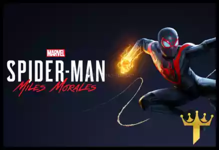 Spider-Man Miles Morales + Garanti Destek