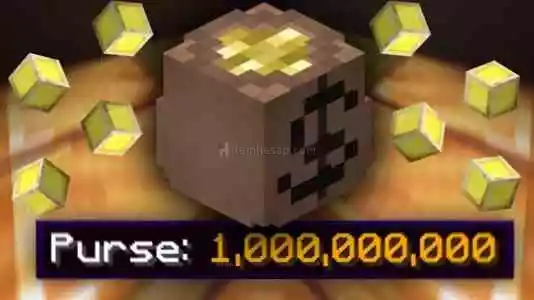 Hypixel Skyblock 1Milyar Coin