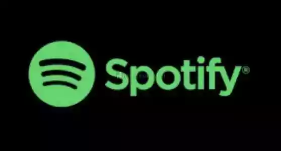 Spotify Preminium 1 Ay Üyelik