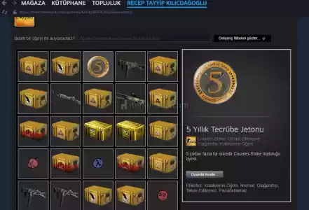 51Lvl Steam Csgo/Gta5 Vs Oyunlu Steam Hesabi