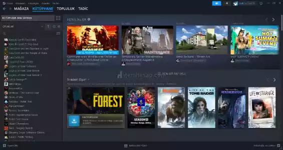 27 Seviye Bol Oyunlu Steam Hesabı