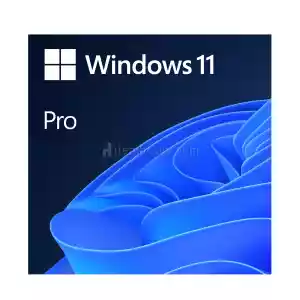 Microsoft Windows 11 Pro Oem Key