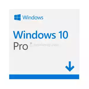 Microsoft Windows 10 Pro Oem Key
