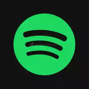 3 Aylık Spotify Premium