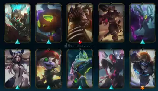 +25 Skınlı Plat Hesap