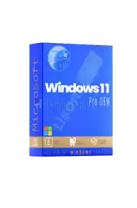 Windows 11 Pro OEM KEY Lisans Anahtarı