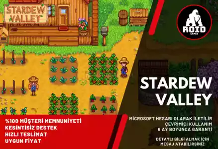 Stardew Valley Microsoft Hesabı