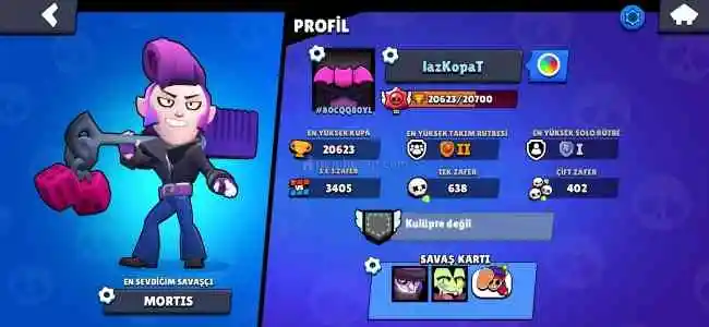 Brawl Stars Dolu Hesap