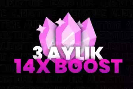 3 Aylık Discord 14X Boost Anlık | Garanti