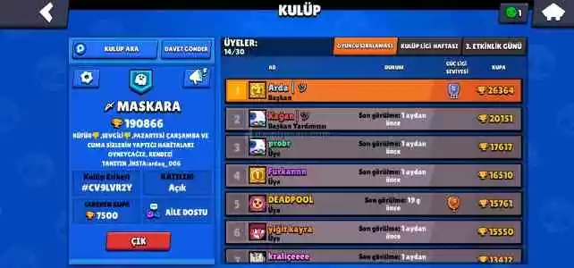 Brawl Stars Temiz Hesap Güvenilir