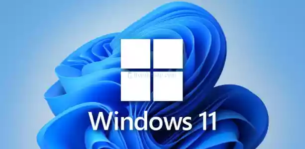 Windows 10/11 Pro Key