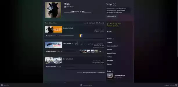 Cs2 / Forza Horızon 4