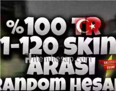 Valorant Random Hesap 1-100 Arası Skin