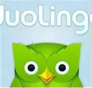 Duolingo Plus + Kişiye Özel 4 Tl