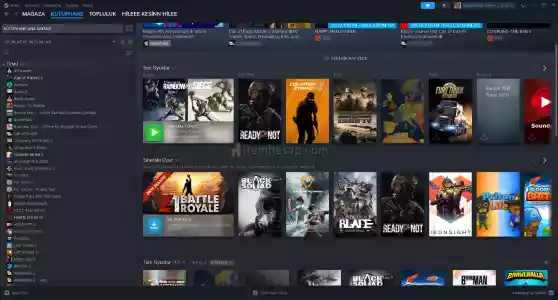Uygun Fiyatlı Steam Hesabı