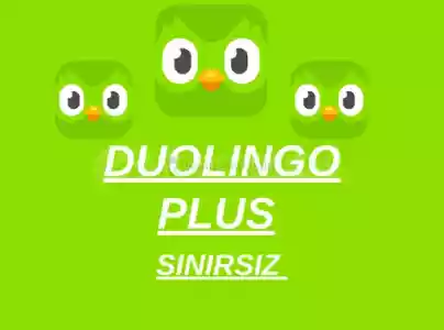 Duolingo Plus | Kendi Hesabınıza