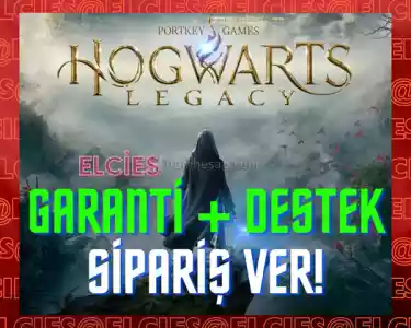 Hogwarts Legacy Offline Hesap