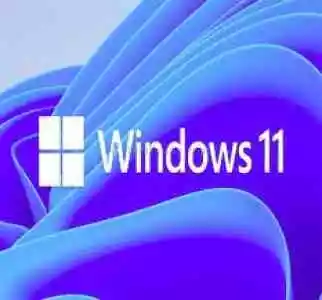 Windows 10/11 Pro Ürün Anahtarı