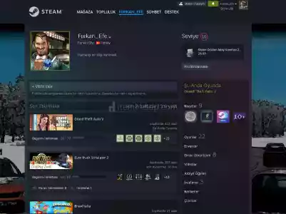 Satılık Steam Hesabı Değeri Ets2/Gtav/Vs