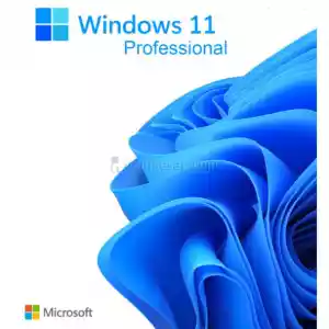 Windows 11 Pro - Retail (Online Aktivasyon)