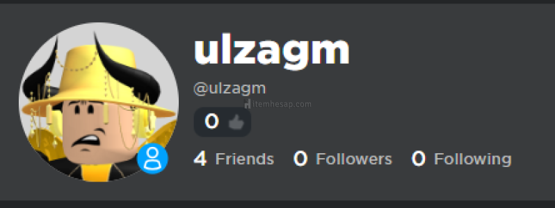 Total 900 Roblox Hesap