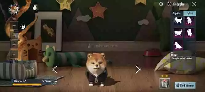 30 Destansı/ 2 Yükseltilebilir 3Sv / 1 Adet Son Seviye Köpek Yoldaş/Emek Hesabıdır Alana Hayırlı Olsun