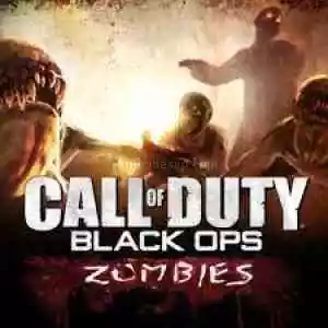 ⭐ Call Of Duty: Black Ops 2 Zombies Offline Hesap  ⭐