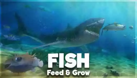 Feed And Grow: Fish